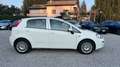 Fiat Punto Punto 5p 1.3 mjt N1 Bianco - thumbnail 8