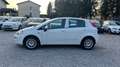 Fiat Punto Punto 5p 1.3 mjt N1 Bianco - thumbnail 4