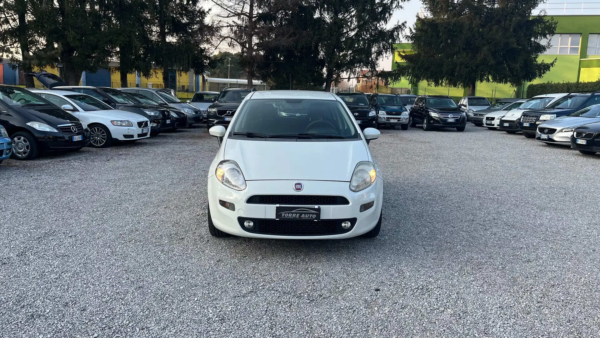 Fiat Punto Punto 5p 1.3 mjt N1 Bianco - 2