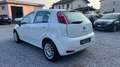 Fiat Punto Punto 5p 1.3 mjt N1 Bianco - thumbnail 5