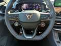 CUPRA Terramar 1.5 e-TSI 150 PS DSG Edge Paket, Blau - thumbnail 14