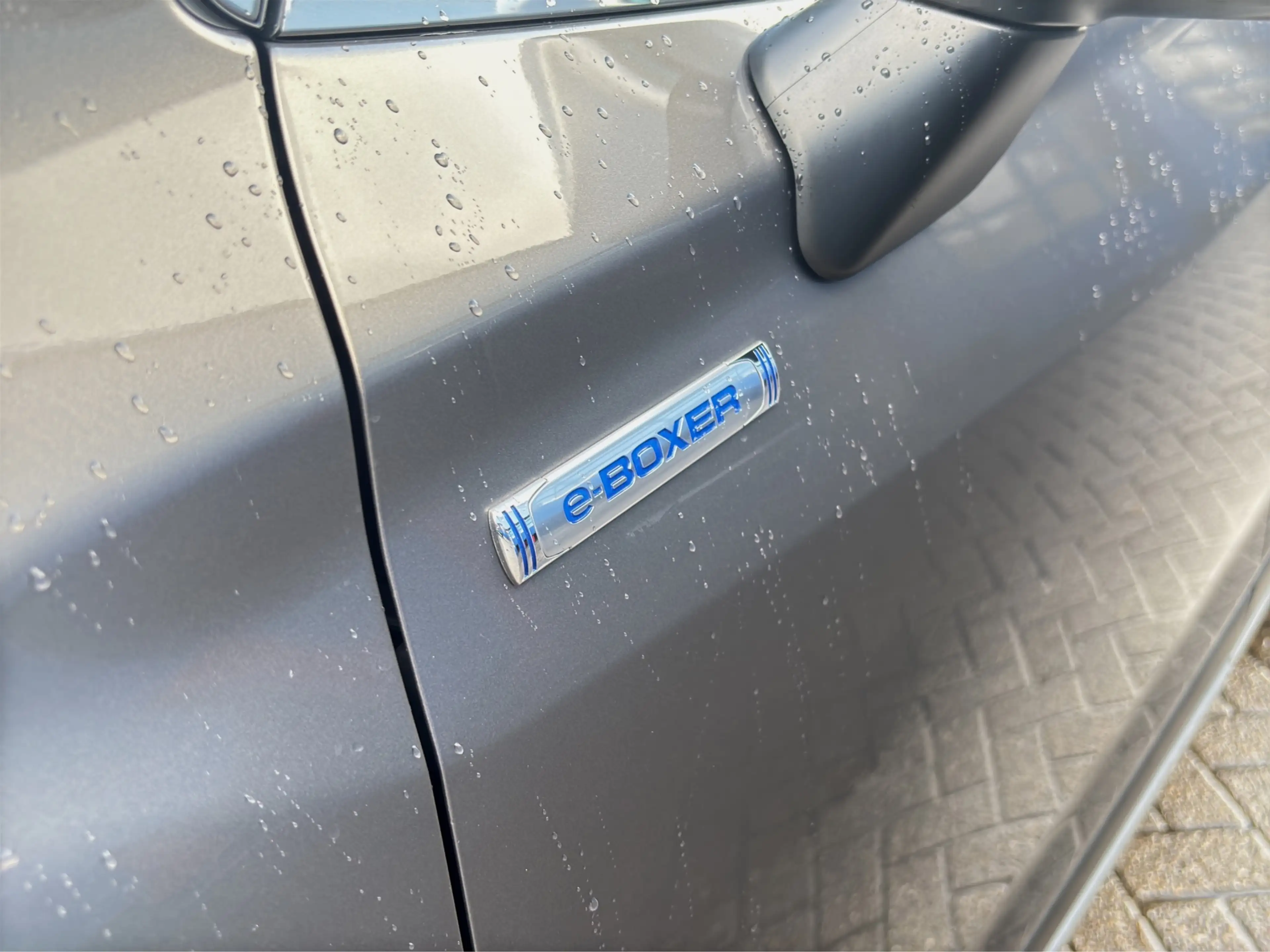 Subaru Forester 2.0i e-BOXER First Edition | Trekhaak | Panoramdak — photo 39