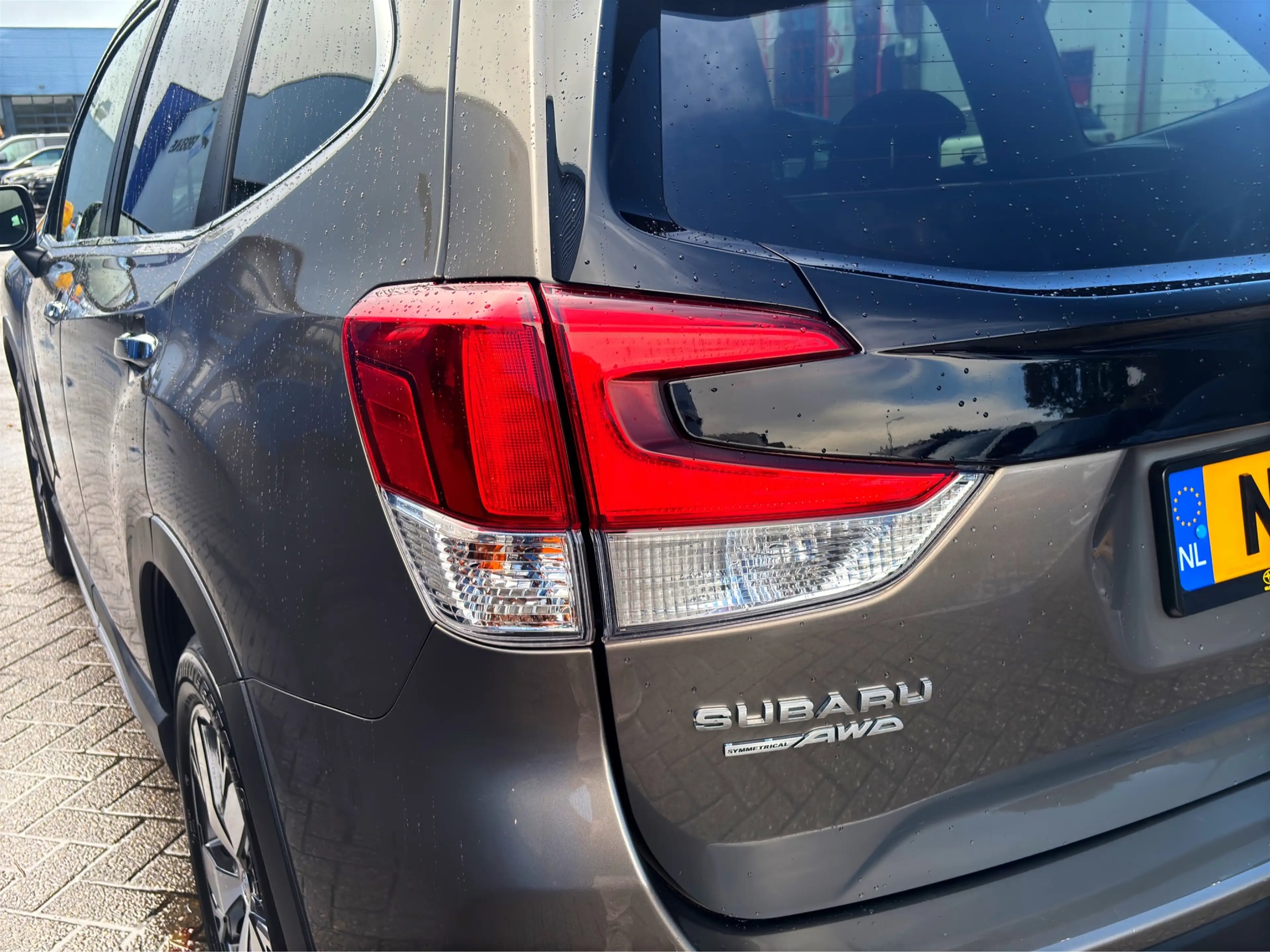 Subaru Forester 2.0i e-BOXER First Edition | Trekhaak | Panoramdak — photo 40