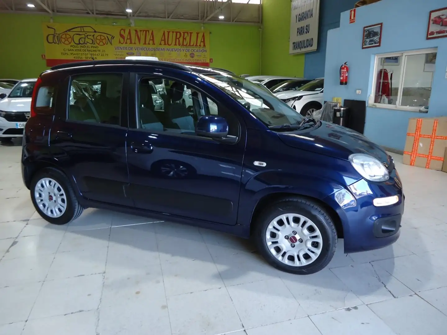 Fiat Panda 1.2 Lounge Blau - 2