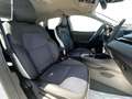 Mitsubishi ASX 1.3 mhev Intense dct Bianco - thumbnail 10