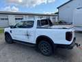Ford Ranger Ranger 2,0 l EcoBlue Doppelkabine Autm. Wildtrak Weiß - thumbnail 8