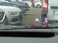 Citroen C4 BlueHDI 130 S&S Shine EAT8 Automatik + Anhänger... Schwarz - thumbnail 12