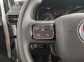 Fiat Doblo 1.5 BlueHdi 130CV PC-TN Van Wit - thumbnail 18