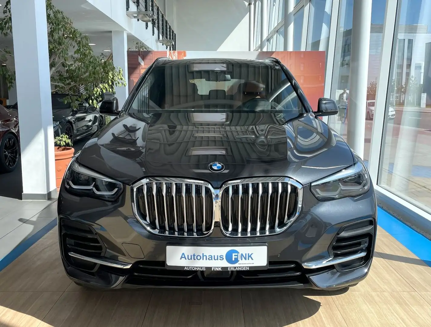 BMW X5 xDrive40i LC.Pro. Head-Up Kamera Standheizung Gris - 2