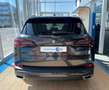 BMW X5 xDrive40i LC.Pro. Head-Up Kamera Standheizung Gris - thumbnail 4