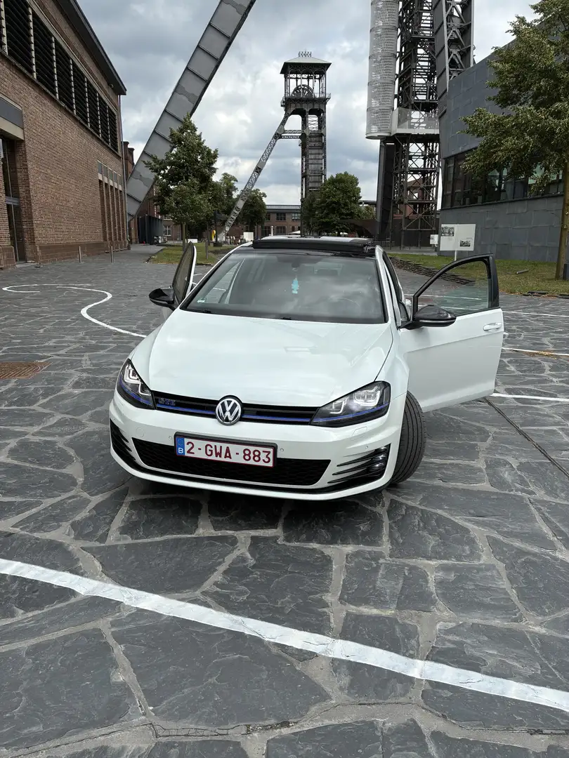 Volkswagen Golf GTE - 1