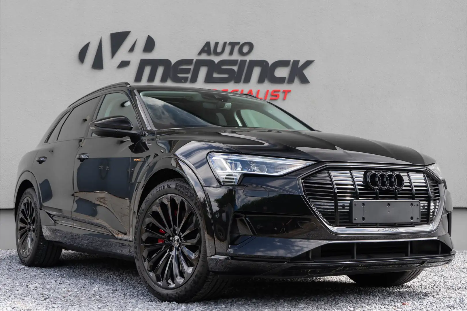 Audi e-tron 50 Quattro / Standkachel/ Luchtvering/ Adaptive Cr Zwart - 1