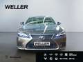 Lexus LS 500 3,5l V6 4x4 Hybrid Executive Line Grau - thumbnail 1