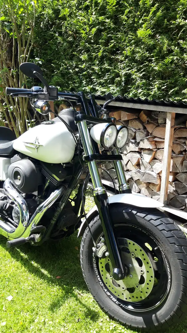 Harley-Davidson Fat Bob Weiß - 1