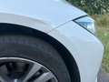 BMW 320 320d, Sport Line, HUD, EAHK, MEMORY, TÜV neu Weiß - thumbnail 20