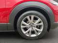 Mazda CX-30 Selection DES-P NAVI KAMERA LED Rot - thumbnail 6