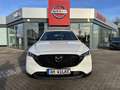 Mazda CX-5 2.5 194 HOMURA/FWD/BOSE/COMB/MATRIX Wit - thumbnail 2
