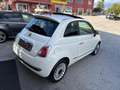 Fiat 500 500 1.3 mjt 16v Sport 95cv - thumbnail 3