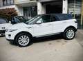 Land Rover Range Rover Evoque 2.0 TD4 4WD Pure*BOITE AUTO* CAMERA DE RECULE * Blanc - thumbnail 6