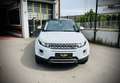Land Rover Range Rover Evoque 2.0 TD4 4WD Pure*BOITE AUTO* CAMERA DE RECULE * Blanc - thumbnail 2