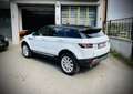 Land Rover Range Rover Evoque 2.0 TD4 4WD Pure*BOITE AUTO* CAMERA DE RECULE * Blanc - thumbnail 5