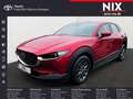 Mazda CX-30 SKYACTIV-G 2.0 M-Hybrid 150 SELECTION Rot - thumbnail 1