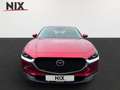 Mazda CX-30 SKYACTIV-G 2.0 M-Hybrid 150 SELECTION Rot - thumbnail 4