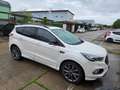Ford Kuga 1,5 EcoBoost ST-Line SUV Weiß - thumbnail 5