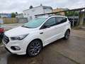Ford Kuga 1,5 EcoBoost ST-Line SUV Weiß - thumbnail 7
