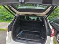 Ford Kuga 1,5 EcoBoost ST-Line SUV Weiß - thumbnail 10