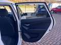 Hyundai iX20 ix20 1.4 Comfort BENZINA/METANO Blanco - thumbnail 19