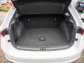 Skoda Scala 1.0 TSI Drive SHZ NAVI ACC PANO MATRIX-LED Blanco - thumbnail 19