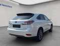 Lexus RX 450h h (hybrid) Executive Line Weiß - thumbnail 6