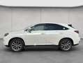 Lexus RX 450h h (hybrid) Executive Line Wit - thumbnail 2