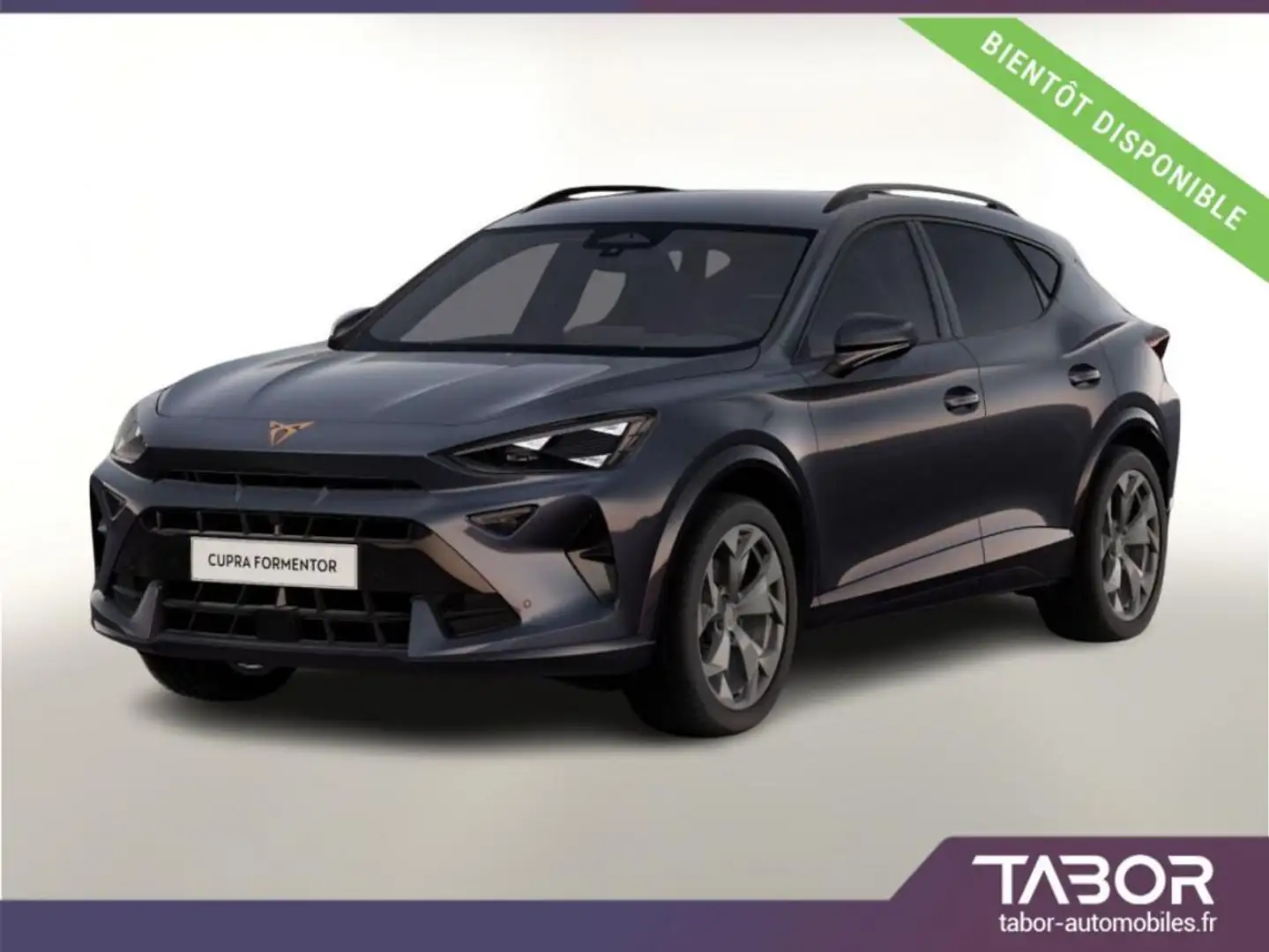 CUPRA Formentor 1.5 eTSI 150 DSG Dinamica EdgeP Gris - 1