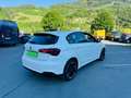 Fiat Tipo 1,4 16V 95 Lounge+1BESITZ NEUE PICKERL Weiß - thumbnail 13
