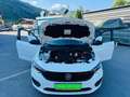Fiat Tipo 1,4 16V 95 Lounge+1BESITZ NEUE PICKERL Weiß - thumbnail 6