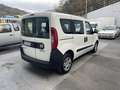 Fiat Doblo N1 5 POSTI Bianco - thumbnail 4