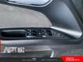 Fiat Tipo Tipo 5p 1.3 mjt Lounge s&s 95cv my19 Bronze - thumbnail 8