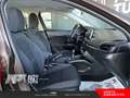 Fiat Tipo Tipo 5p 1.3 mjt Lounge s&s 95cv my19 Bronze - thumbnail 20