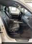 BMW X3 X3 xDrive20d xLine Bianco - thumbnail 12