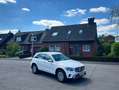 Mercedes-Benz GLC 220 GLC 220 d 4Matic Luftfahrwerk HEAD-UP AHK KEYLESS Weiß - thumbnail 2