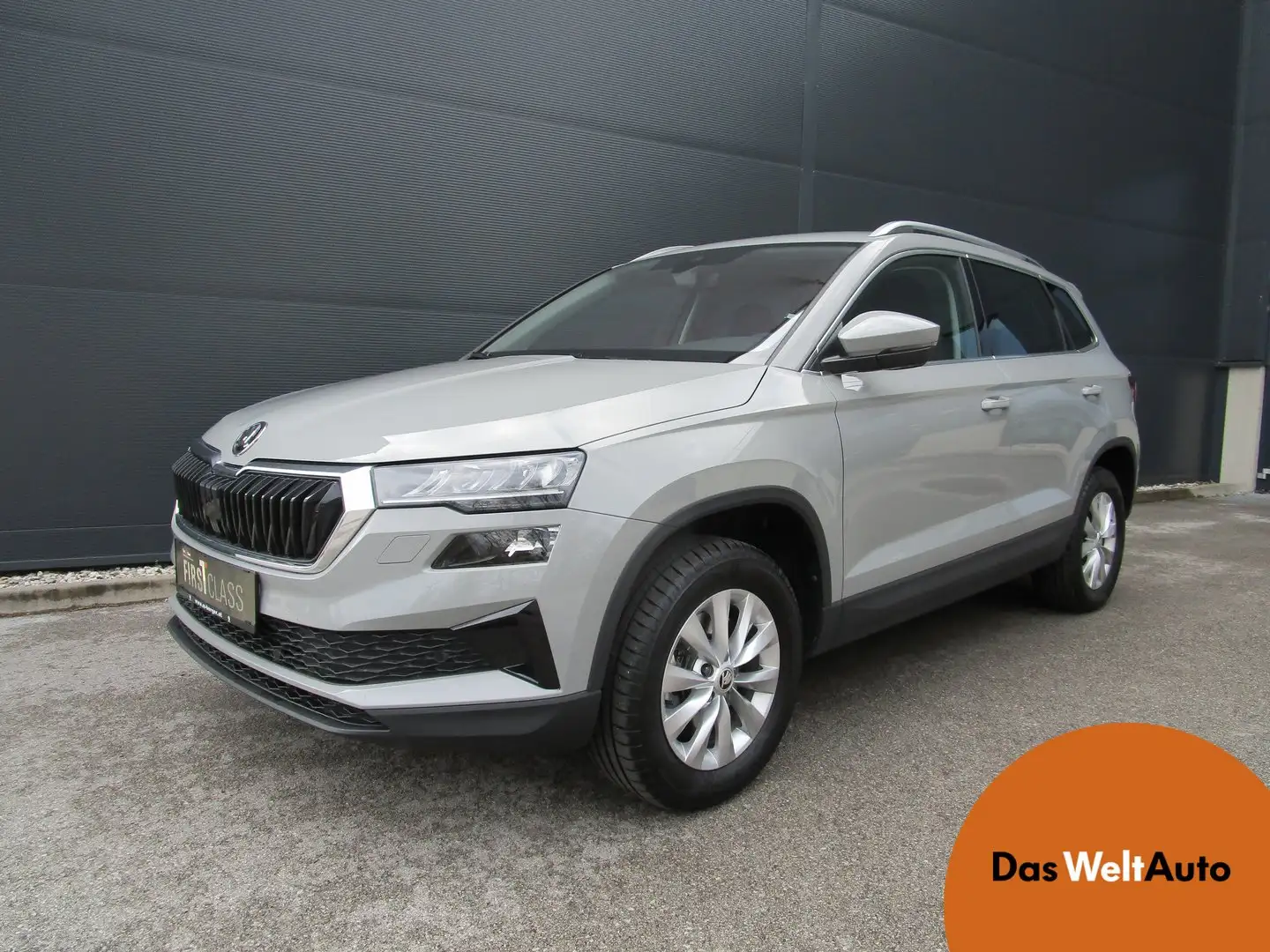 Skoda Karoq 4x4 Selection TDI DSG Gris - 1