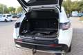 Honda ZR-V 2.0 Full Hybrid Advance Trekhaak wegklapbaar Bianco - thumbnail 3