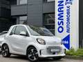 smart forTwo coupe EQ passionelectric drive Tempomat Weiß - thumbnail 3