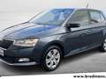 Skoda Fabia 1.0 TSI Ambition DSG Navi-RFK-SHZ-GRA-Klimaa Gris - thumbnail 1