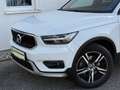 Volvo XC40 T4 Aut. |Sportpaket| HarmanKardon| Kamera | Weiß - thumbnail 5