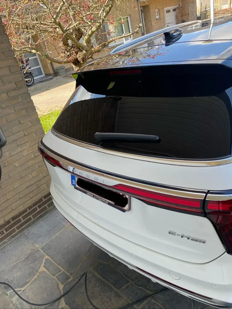 Hongqi E-HS9 99 kWh President - 2