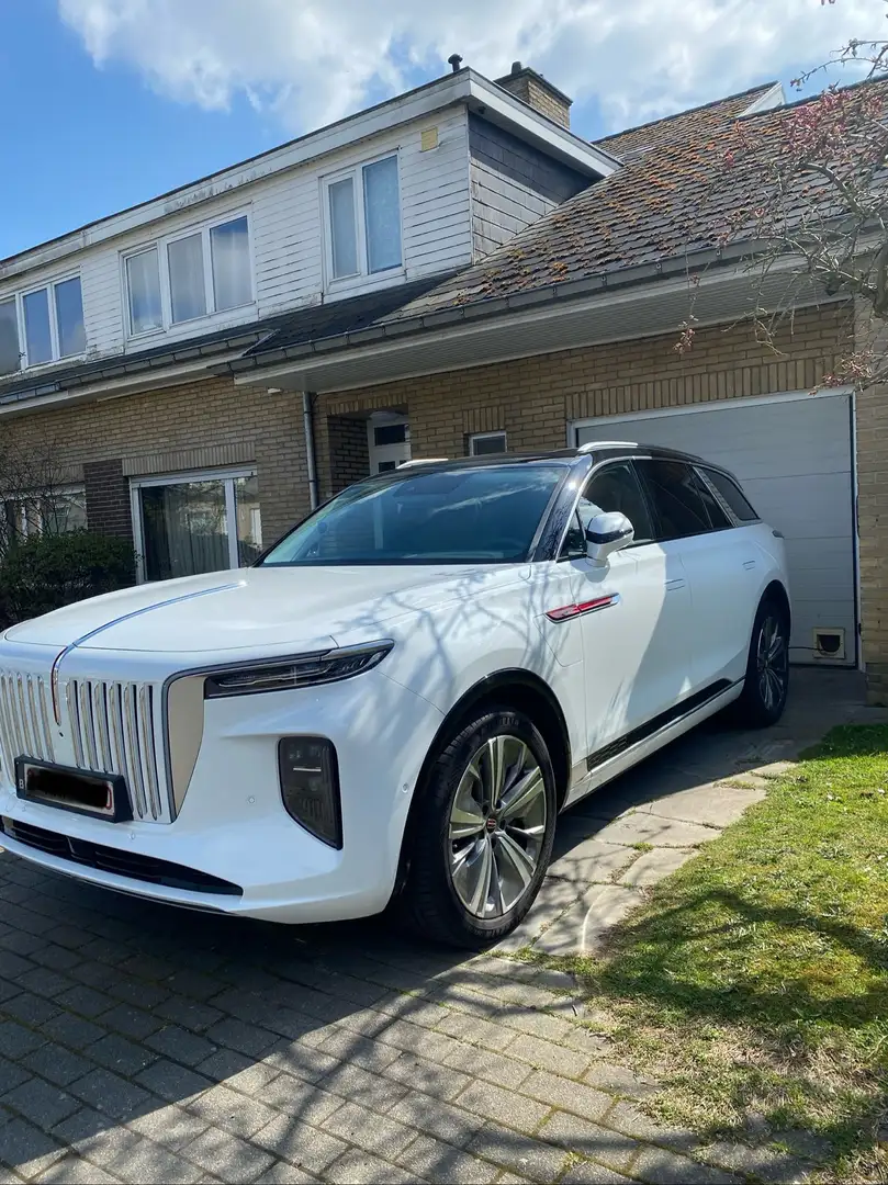 Hongqi E-HS9 99 kWh President - 1