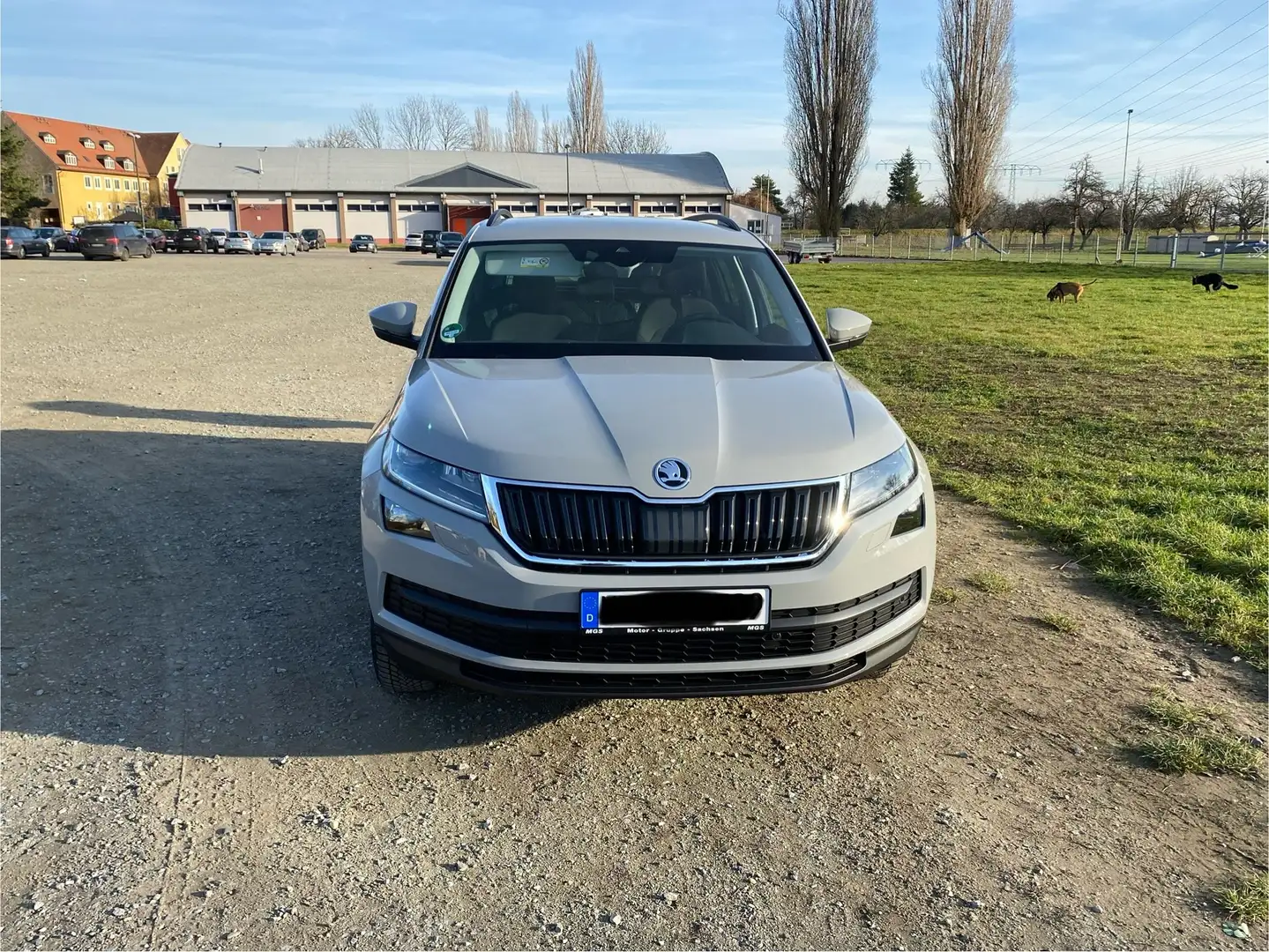 Skoda Kodiaq Kodiaq 1.5 TSI ACT DSG Drive 125 Grau - 2